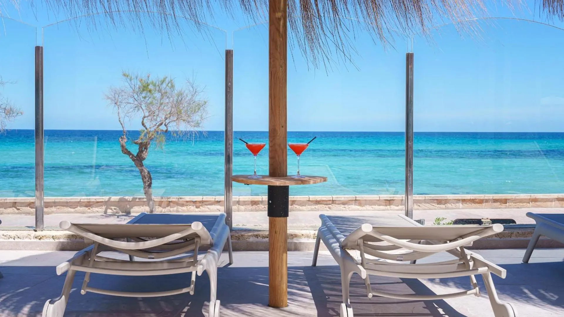Ferrer Concord Hotel & Spa (Adults Only) contacts